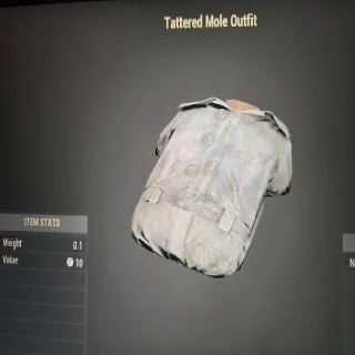 Tattered Mole Outfit