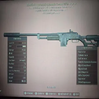 BE15 Combat Rifle