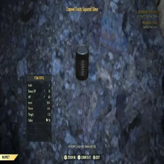 100 Canned Tasty Squirrel Stew