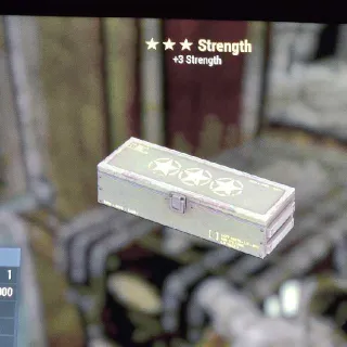 3+ Strength Mod