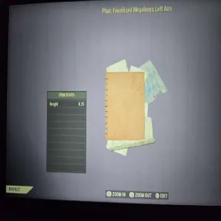 Fossilized Megalonyx Left Arm Plan