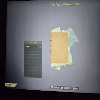 Fossilized Megalonyx Skull Plan