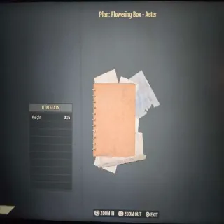 Flowering Box - Aster Plan