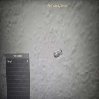 Rare Positioning Sensor Misc Item