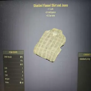 Shielded Flannel Shirt and Jeans