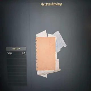 Potted Prickeye Plan