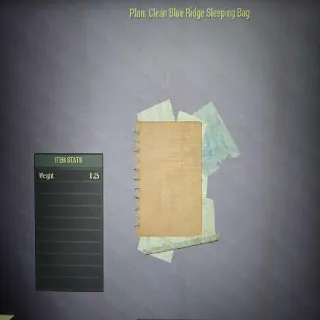 Clean Blue Ridge Sleeping Bag Plan