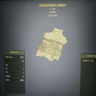 Shielded Raider Leathers