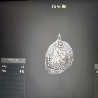 Tin Foil Hat