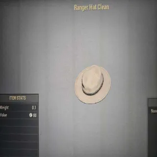 Ranger Hat Clean