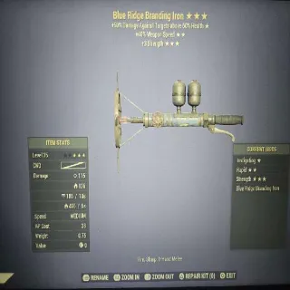 Blue Ridge Branding Iron