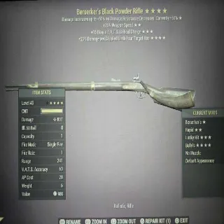 4* Black Powder Rifle