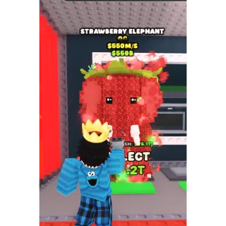 Strawberry Elephant 550m/s