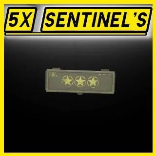 5x Sentinel's Mod