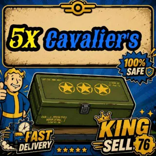 5x Cavalier's Mods