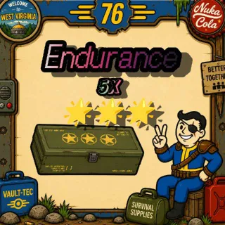 5x Endurance Mods
