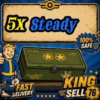 5x Steady Mods
