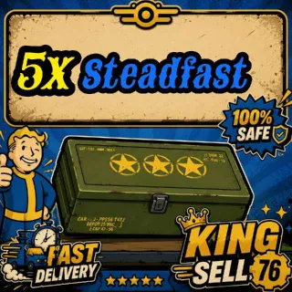 5x Steadfast Mods