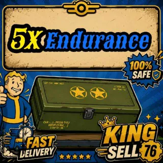 5x Endurance Mods