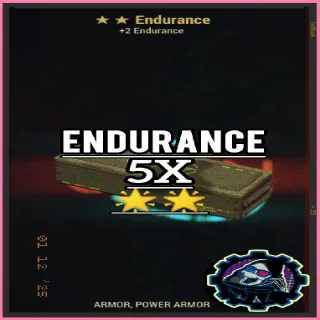 5 Endurance Mod
