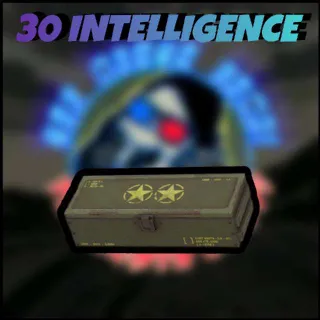 30 Intelligence MOD