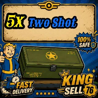 5x Two Shot Mods