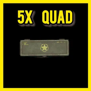 5x Quad Mod