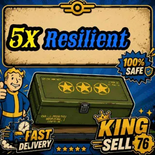 5x Resilient Mods