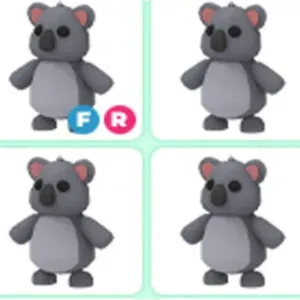 4x koala