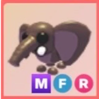 MFR Bush Elephant