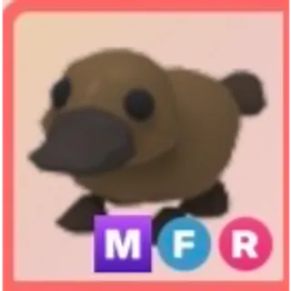MFR Platypus