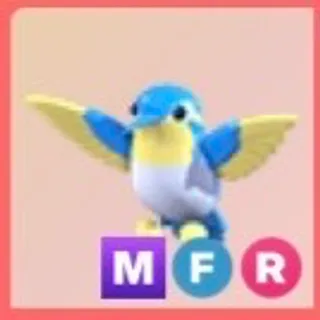 MFR Diamond Hummingbird