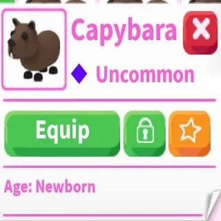 4x Capybara