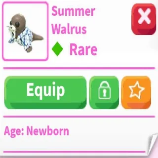 18x Summer Walrus