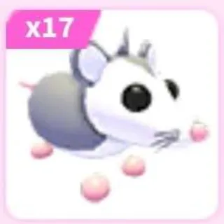 17x Possum