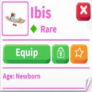 16x Ibis