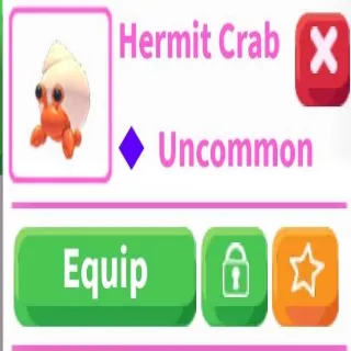 16x Hermit Crab