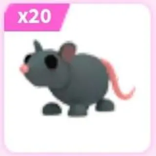 20x Rat