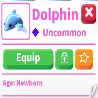 10x Dolphin