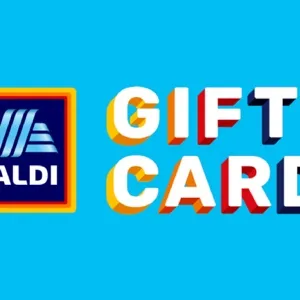 $100.00 Alidi 