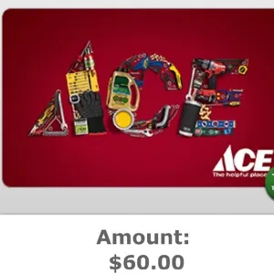 $60.00 ACE Hardware