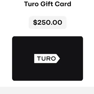 $250.00 Turo