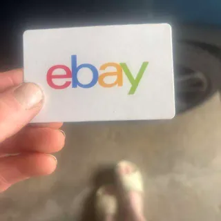 $60,00 Ebay