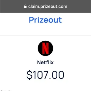 $107.00 Netflix