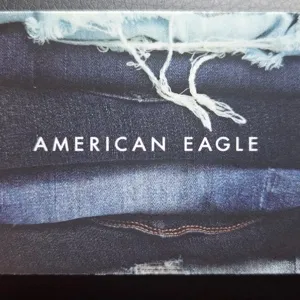 $100.00 American eagle