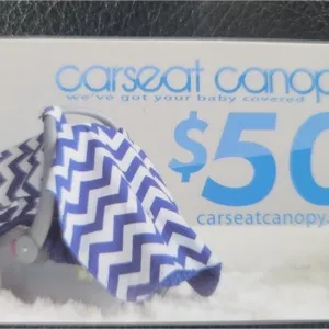 $50.00 Carseat canopy