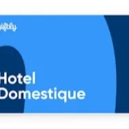 $100.00 Hotel Domestique