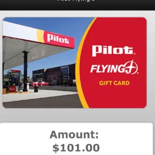 $101,00 Pilot flying