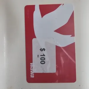 $100 wawa