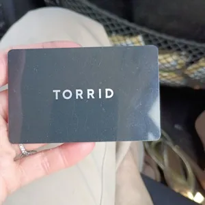 $250 Torrid 